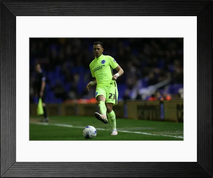 Framed Print : Brighton and Hove Albion vs. Birmingham City: Sky Bet Championship Showdown at St. Andrews (05.04.2016)