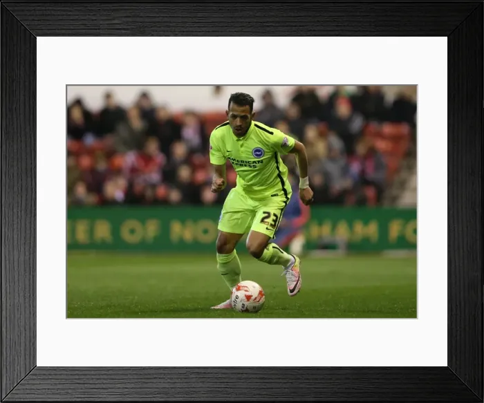Framed Print : Brighton and Hove Albion vs. Nottingham Forest: Sky Bet Championship Showdown at City Ground (11APR16)