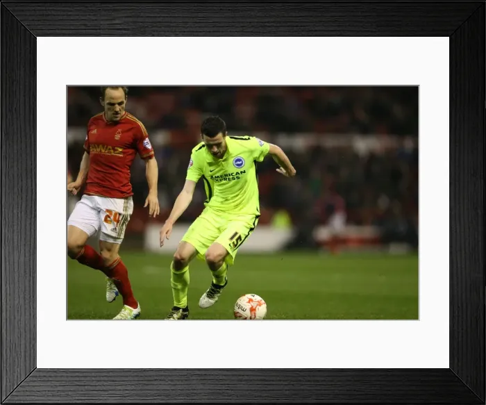 Framed Print : Brighton and Hove Albion vs. Nottingham Forest: Sky Bet Championship Showdown at City Ground (11 April 2016) Framed Print : Brighton and Hove Albion vs. Nottingham Forest: Sky Bet Championship Showdown at City Ground (11 April 2016)