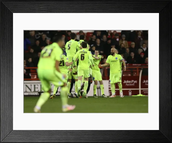 Framed Print : Brighton and Hove Albion vs. Nottingham Forest: Sky Bet Championship Showdown at City Ground (11 April 2016)