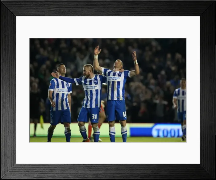 Framed Print : Exciting Championship Showdown: Brighton and Hove Albion vs. Fulham (15th April 2016) Framed Print : Exciting Championship Showdown: Brighton and Hove Albion vs. Fulham (15th April 2016)