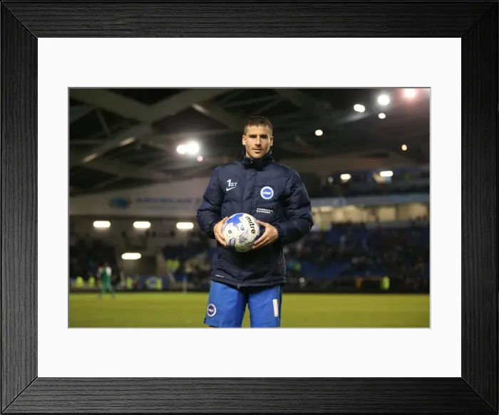 Framed Print : Brighton and Hove Albion vs. Fulham: Sky Bet Championship Showdown at American Express Community Stadium (April 15, 2016) Framed Print : Brighton and Hove Albion vs. Fulham: Sky Bet Championship Showdown at American Express Community Stadium (April 15, 2016)