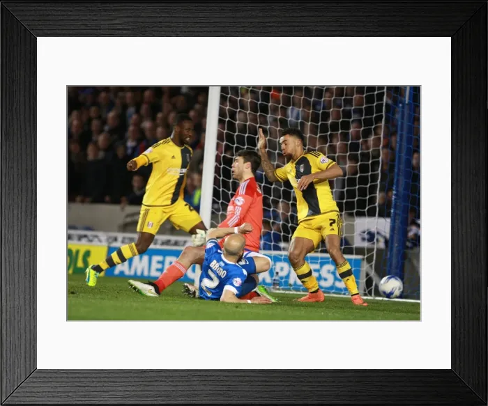 Framed Print : Bruno Saltor Scores Stunner: Brighton and Hove Albion vs. Fulham, Sky Bet Championship 2016 Framed Print : Bruno Saltor Scores Stunner: Brighton and Hove Albion vs. Fulham, Sky Bet Championship 2016