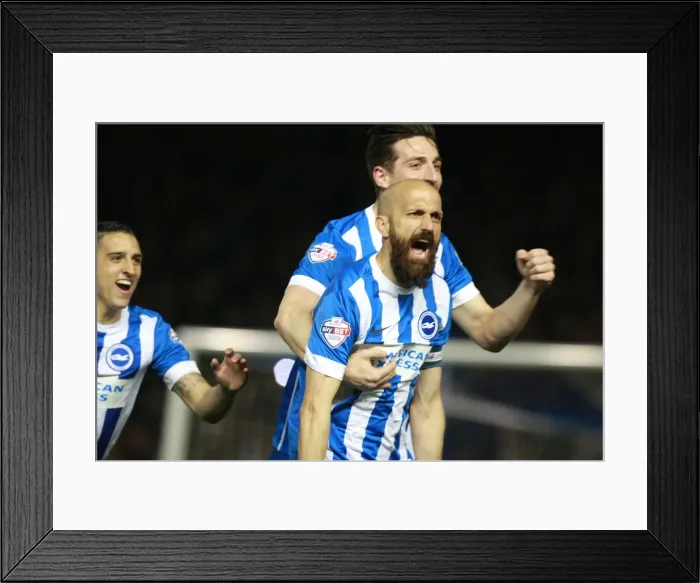 Framed Print : Bruno Saltor's Thrilling Goal: Brighton and Hove Albion vs. Fulham (15APR16) Framed Print : Bruno Saltor's Thrilling Goal: Brighton and Hove Albion vs. Fulham (15APR16)