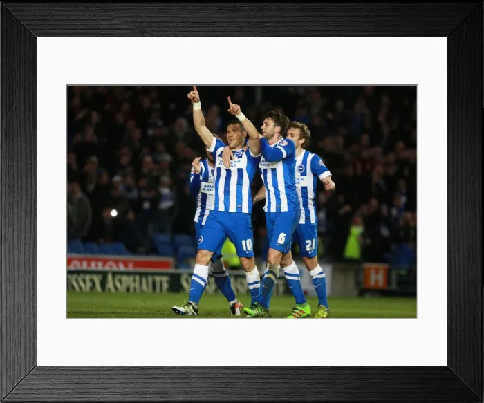 Framed Print : Brighton and Hove Albion's Tomer Hemed Celebrates Goal Against Fulham in Sky Bet Championship (15APR16) Framed Print : Brighton and Hove Albion's Tomer Hemed Celebrates Goal Against Fulham in Sky Bet Championship (15APR16)