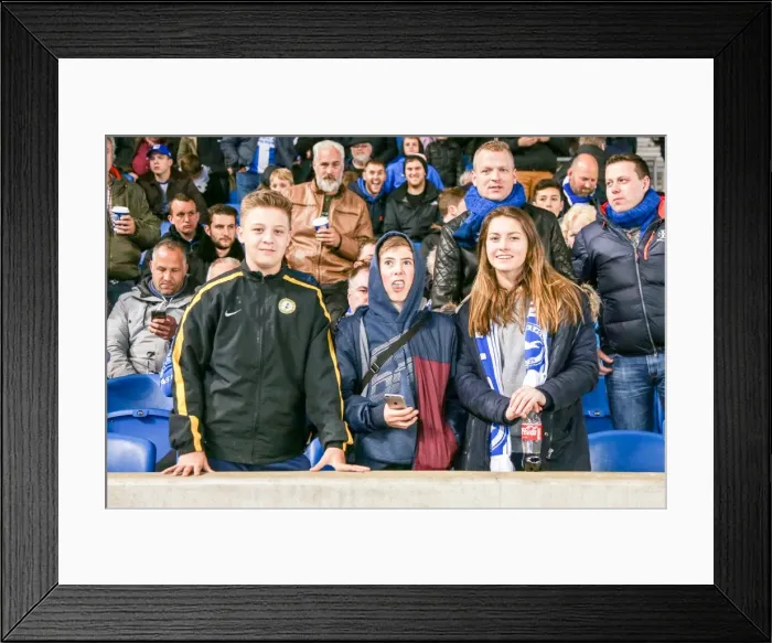 Framed Print : Brighton & Hove Albion vs. Fulham: The Thrilling Showdown of the 2015-16 Season (15APR16)