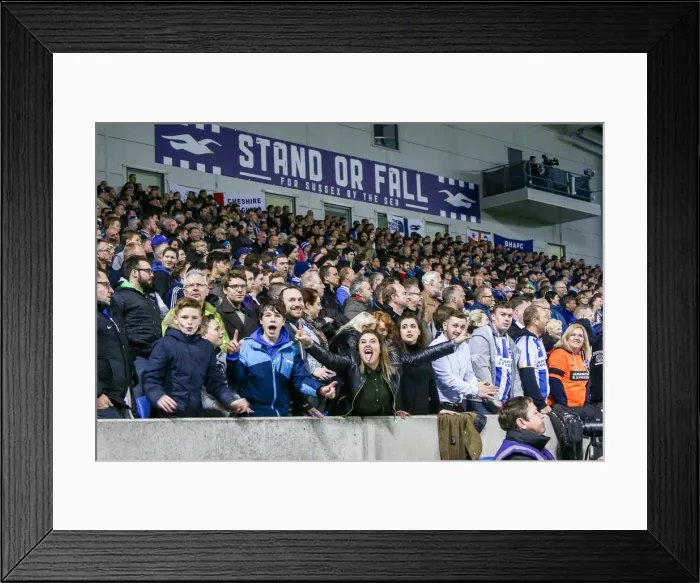 Framed Print : The Thrilling Showdown: Brighton & Hove Albion vs. Fulham (April 15, 2016) Framed Print : The Thrilling Showdown: Brighton & Hove Albion vs. Fulham (April 15, 2016)