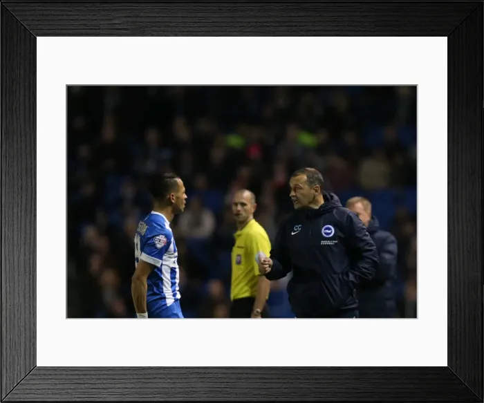 Framed Print : Intense Championship Showdown: Brighton and Hove Albion vs. QPR (19APR16) Framed Print : Intense Championship Showdown: Brighton and Hove Albion vs. QPR (19APR16)
