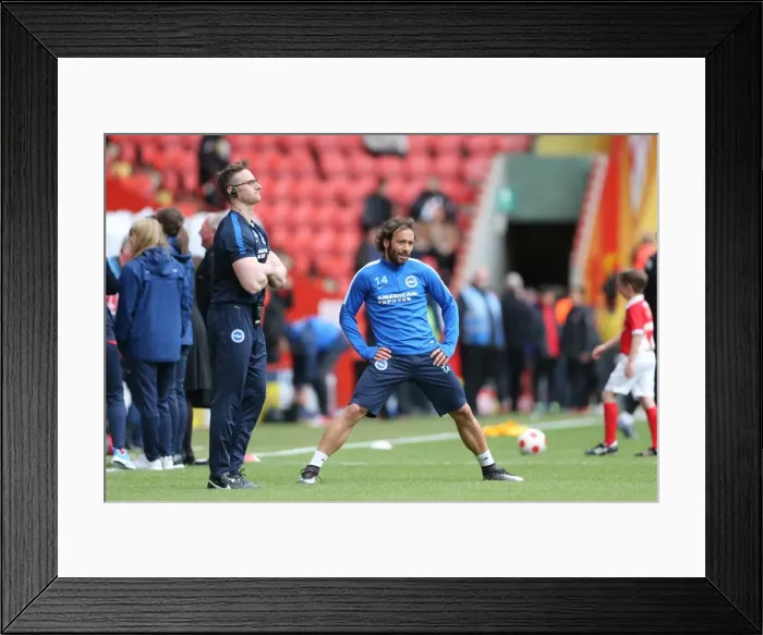 Framed Print : Sky Bet Championship Showdown: Charlton Athletic vs. Brighton and Hove Albion (23APR16) Framed Print : Sky Bet Championship Showdown: Charlton Athletic vs. Brighton and Hove Albion (23APR16)