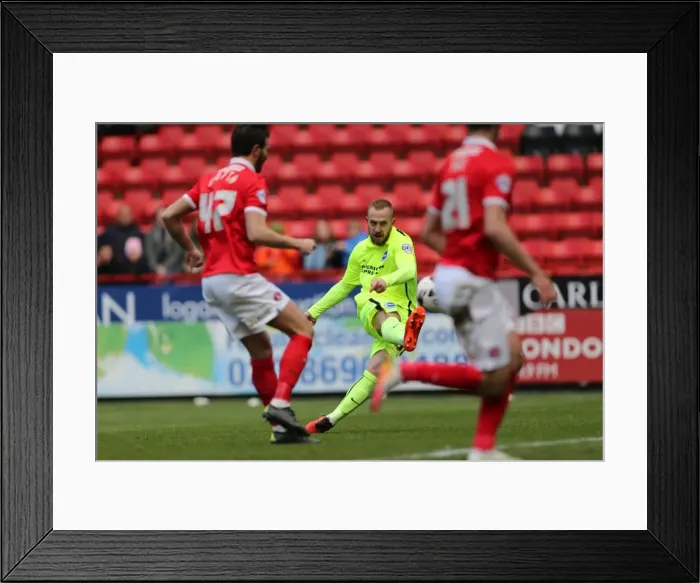 Framed Print : Thrilling Sky Bet Championship Clash: Charlton Athletic vs. Brighton and Hove Albion (23rd April 2016) Framed Print : Thrilling Sky Bet Championship Clash: Charlton Athletic vs. Brighton and Hove Albion (23rd April 2016)