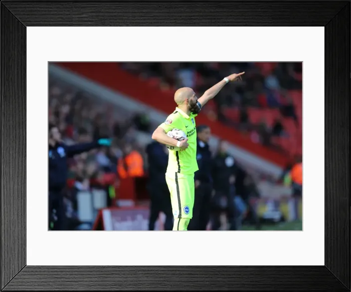 Framed Print : Intense Championship Showdown: Charlton Athletic vs. Brighton and Hove Albion (23APR16) Framed Print : Intense Championship Showdown: Charlton Athletic vs. Brighton and Hove Albion (23APR16)