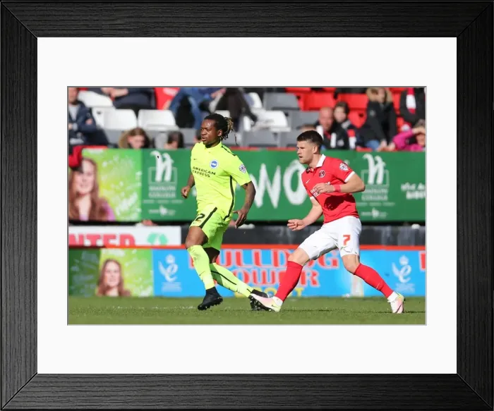 Framed Print : Intense Championship Showdown: Charlton Athletic vs. Brighton and Hove Albion (23APR16) Framed Print : Intense Championship Showdown: Charlton Athletic vs. Brighton and Hove Albion (23APR16)