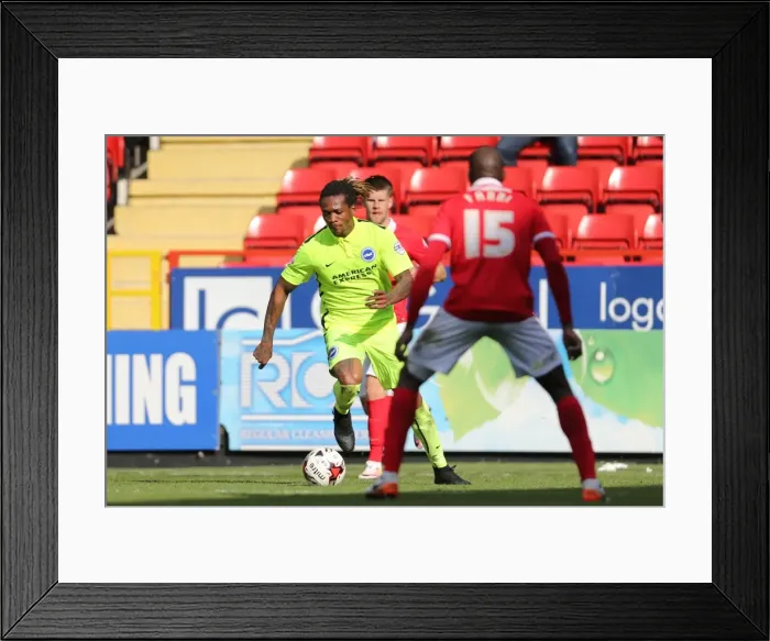 Framed Print : Intense Championship Showdown: Charlton Athletic vs. Brighton & Hove Albion (23APR16) Framed Print : Intense Championship Showdown: Charlton Athletic vs. Brighton & Hove Albion (23APR16)