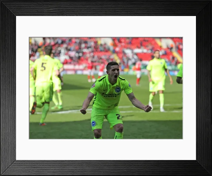 Framed Print : Intense Championship Showdown: Charlton Athletic vs. Brighton and Hove Albion (23APR16) Framed Print : Intense Championship Showdown: Charlton Athletic vs. Brighton and Hove Albion (23APR16)