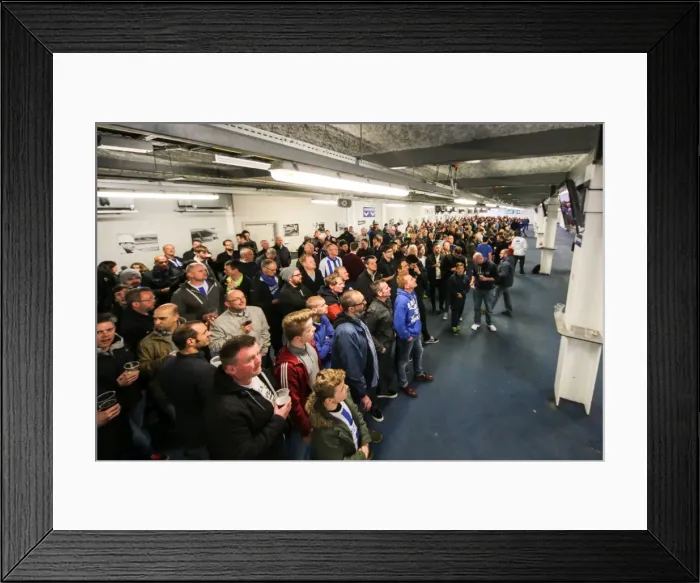 Framed Print : Brighton and Hove Albion vs Charlton: Beamback Atmosphere, American Express Community Stadium (23 April 2016) Framed Print : Brighton and Hove Albion vs Charlton: Beamback Atmosphere, American Express Community Stadium (23 April 2016)