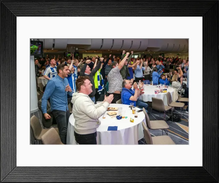 Framed Print : Brighton and Hove Albion vs Charlton: A Beamback Experience at the American Express Community Stadium (23 April 2016) Framed Print : Brighton and Hove Albion vs Charlton: A Beamback Experience at the American Express Community Stadium (23 April 2016)