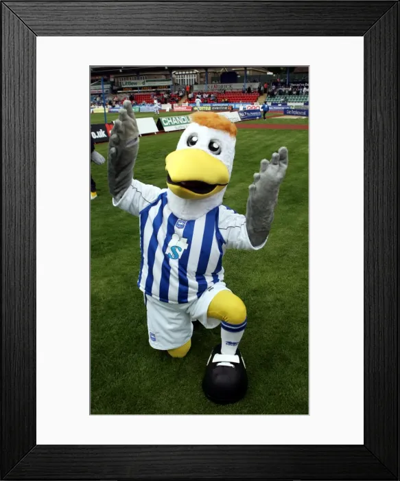 Framed Print : Gully Framed Print : Gully