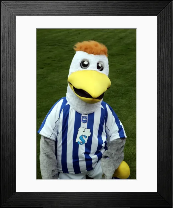Framed Print : Brighton and Hove Albion's Triple Threat: Gully, Sammy, and Sally Framed Print : Brighton and Hove Albion's Triple Threat: Gully, Sammy, and Sally