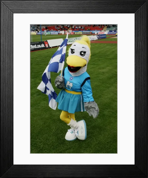 Framed Print : Sally - Sky Blue Kit Framed Print : Sally - Sky Blue Kit