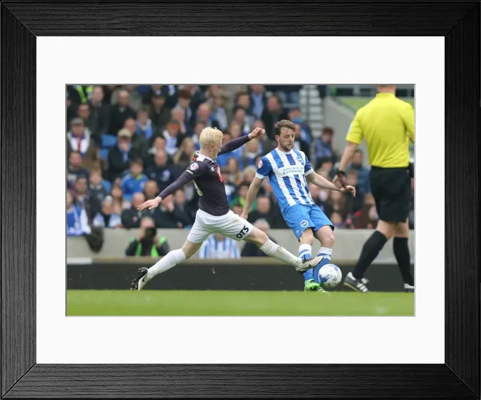 Framed Print : Intense Championship Showdown: Brighton & Hove Albion vs. Derby County (02 / 05 / 2016) Framed Print : Intense Championship Showdown: Brighton & Hove Albion vs. Derby County (02 / 05 / 2016)