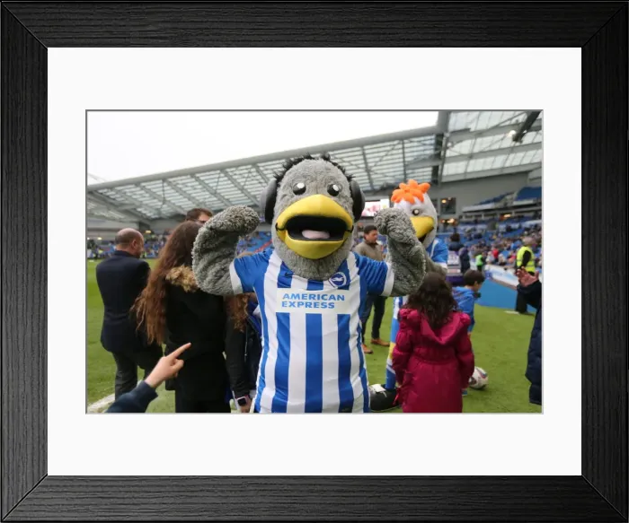 Framed Print : Intense Championship Showdown: Brighton and Hove Albion vs. Derby County (02.05.2016) Framed Print : Intense Championship Showdown: Brighton and Hove Albion vs. Derby County (02.05.2016)