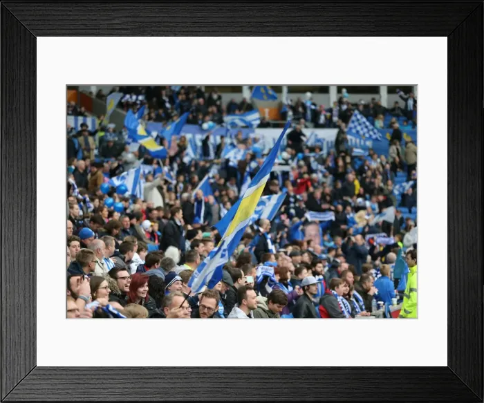 Framed Print : Brighton and Hove Albion vs. Derby County: Championship Showdown at American Express Community Stadium (02.05.2016) Framed Print : Brighton and Hove Albion vs. Derby County: Championship Showdown at American Express Community Stadium (02.05.2016)
