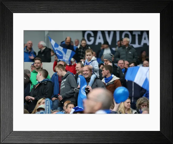 Framed Print : Championship Showdown: Brighton and Hove Albion vs. Derby County at American Express Community Stadium (02 / 05 / 2016) Framed Print : Championship Showdown: Brighton and Hove Albion vs. Derby County at American Express Community Stadium (02 / 05 / 2016)