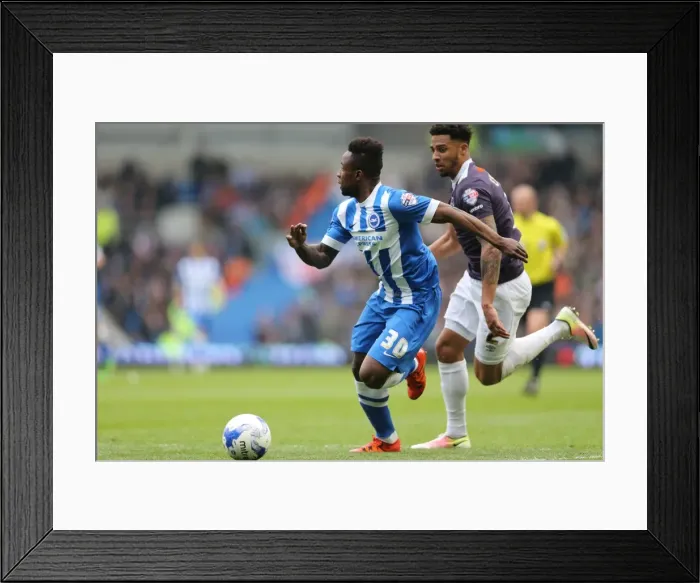 Framed Print : Championship Showdown: Brighton and Hove Albion vs. Derby County (02.05.2016)