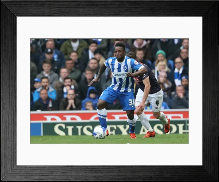 Framed Print : Sky Bet Championship Showdown: Brighton & Hove Albion vs. Derby County (02.05.2016) Framed Print : Sky Bet Championship Showdown: Brighton & Hove Albion vs. Derby County (02.05.2016)
