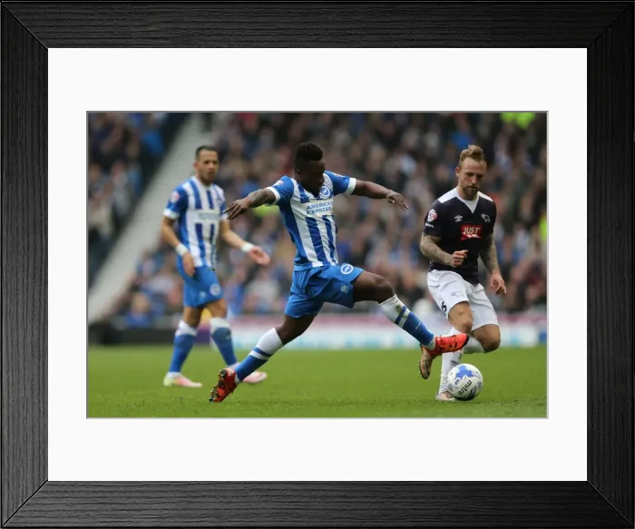 Framed Print : Brighton and Hove Albion vs. Derby County: Championship Showdown at American Express Community Stadium (02.05.2016) Framed Print : Brighton and Hove Albion vs. Derby County: Championship Showdown at American Express Community Stadium (02.05.2016)