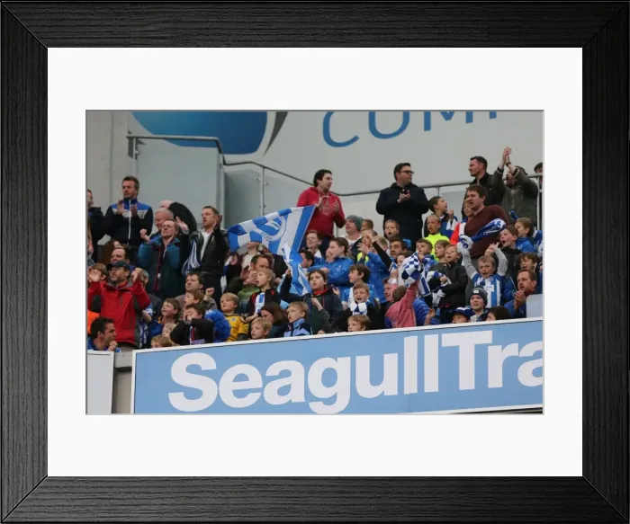 Framed Print : Championship Showdown: Brighton and Hove Albion vs. Derby County (02.05.2016) Framed Print : Championship Showdown: Brighton and Hove Albion vs. Derby County (02.05.2016)