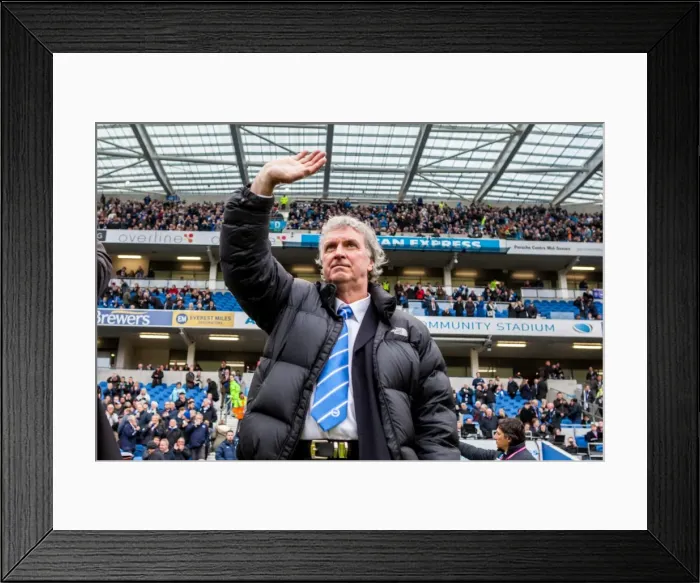 Framed Print : Graham Moseley's Return: Brighton & Hove Albion vs Derby County at American Express Community Stadium (May 2016) Framed Print : Graham Moseley's Return: Brighton & Hove Albion vs Derby County at American Express Community Stadium (May 2016)