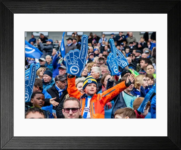 Framed Print : Brighton and Hove Albion: Championship Victory Celebration vs. Derby County, May 2016 Framed Print : Brighton and Hove Albion: Championship Victory Celebration vs. Derby County, May 2016