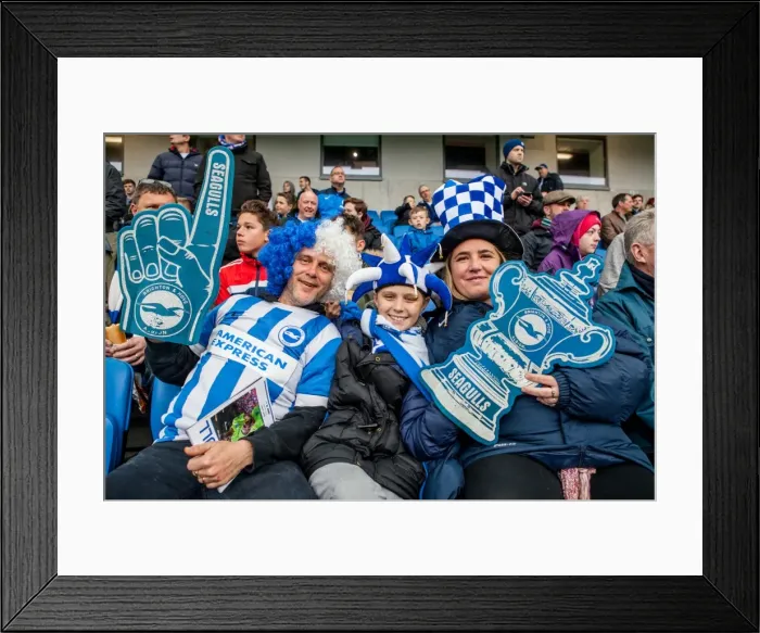 Framed Print : Brighton and Hove Albion FC: Celebrating Championship Victory Over Derby County (02MAY16) Framed Print : Brighton and Hove Albion FC: Celebrating Championship Victory Over Derby County (02MAY16)