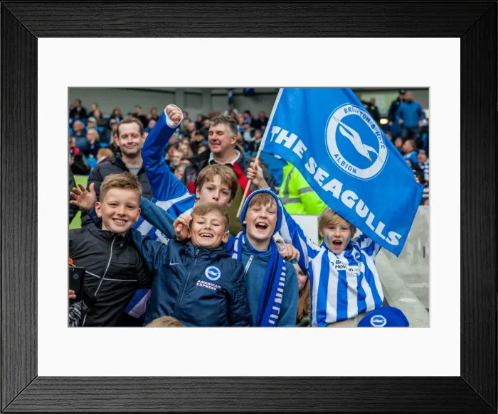 Framed Print : Brighton and Hove Albion FC: Championship Victory Celebration vs. Derby County (02MAY16) Framed Print : Brighton and Hove Albion FC: Championship Victory Celebration vs. Derby County (02MAY16)
