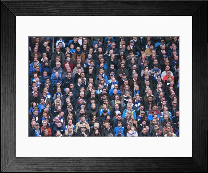 Framed Print : Brighton and Hove Albion Fans Celebrate Championship Victory Over Derby County, May 2016 Framed Print : Brighton and Hove Albion Fans Celebrate Championship Victory Over Derby County, May 2016