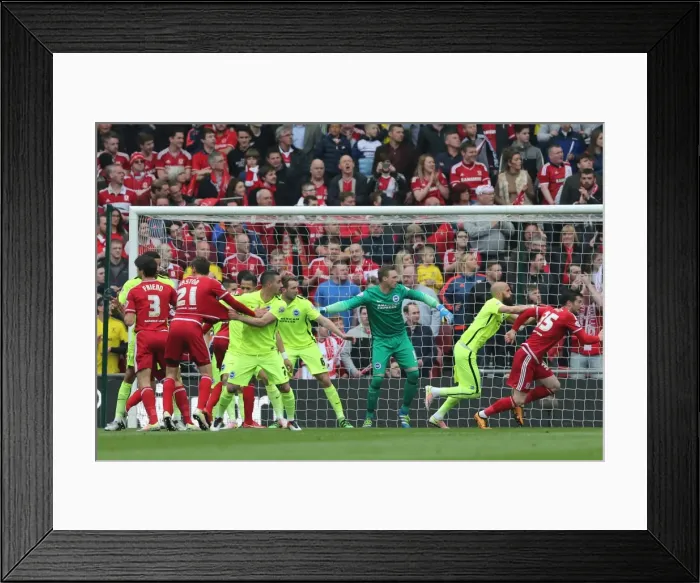 Framed Print : Championship Showdown: Middlesbrough vs. Brighton & Hove Albion at Riverside Stadium (07 / 05 / 2016) Framed Print : Championship Showdown: Middlesbrough vs. Brighton & Hove Albion at Riverside Stadium (07 / 05 / 2016)