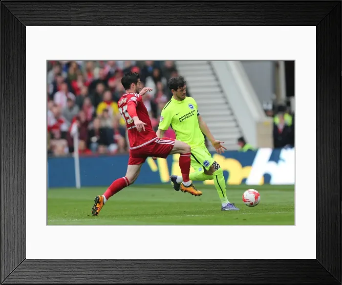 Framed Print : Championship Showdown: Middlesbrough vs. Brighton & Hove Albion at Riverside Stadium (07 / 05 / 2016) Framed Print : Championship Showdown: Middlesbrough vs. Brighton & Hove Albion at Riverside Stadium (07 / 05 / 2016)