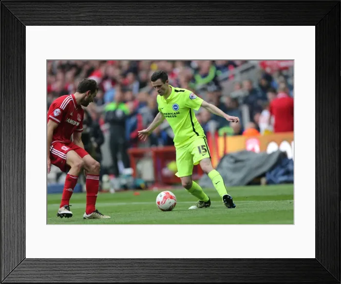 Framed Print : Championship Showdown: Middlesbrough vs. Brighton & Hove Albion at Riverside Stadium (07 / 05 / 2016) Framed Print : Championship Showdown: Middlesbrough vs. Brighton & Hove Albion at Riverside Stadium (07 / 05 / 2016)