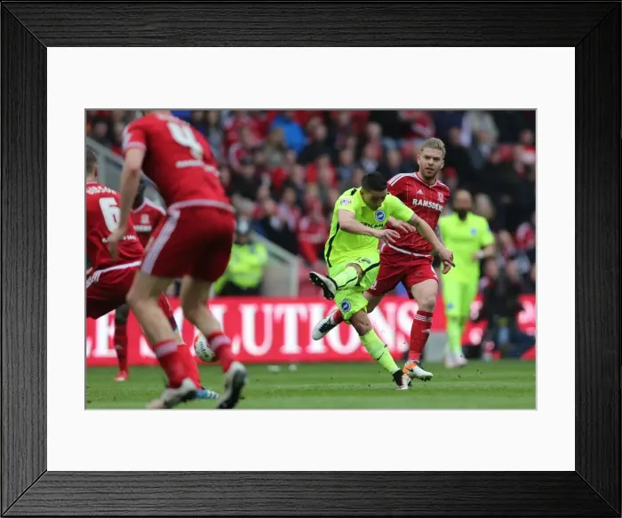 Framed Print : Championship Showdown: Middlesbrough vs. Brighton & Hove Albion at Riverside Stadium (07 / 05 / 2016)