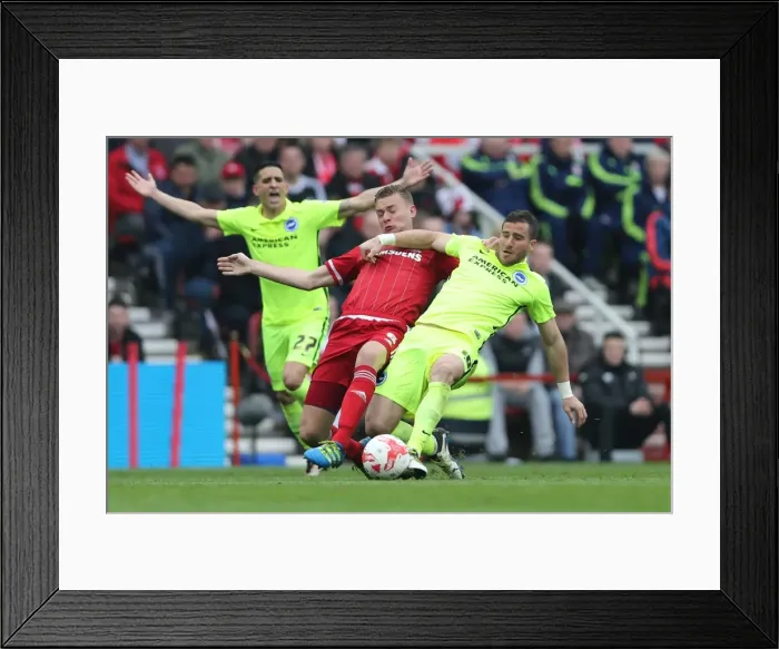Framed Print : Championship Showdown: Middlesbrough vs. Brighton & Hove Albion at Riverside Stadium (07.05.2016) Framed Print : Championship Showdown: Middlesbrough vs. Brighton & Hove Albion at Riverside Stadium (07.05.2016)