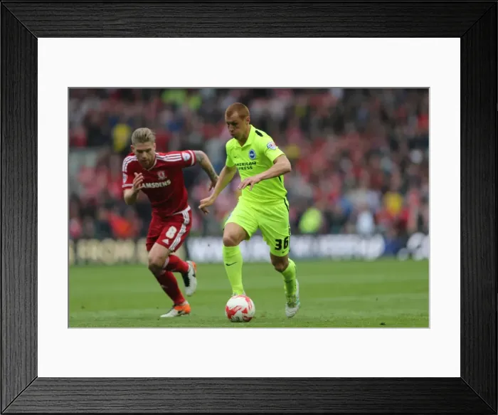 Framed Print : Intense Championship Showdown: Middlesbrough vs. Brighton & Hove Albion at Riverside Stadium (May 7, 2016) Framed Print : Intense Championship Showdown: Middlesbrough vs. Brighton & Hove Albion at Riverside Stadium (May 7, 2016)