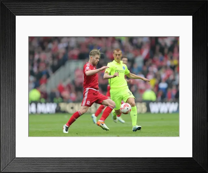 Framed Print : Championship Showdown: Middlesbrough vs. Brighton & Hove Albion at Riverside Stadium (07 / 05 / 2016) Framed Print : Championship Showdown: Middlesbrough vs. Brighton & Hove Albion at Riverside Stadium (07 / 05 / 2016)