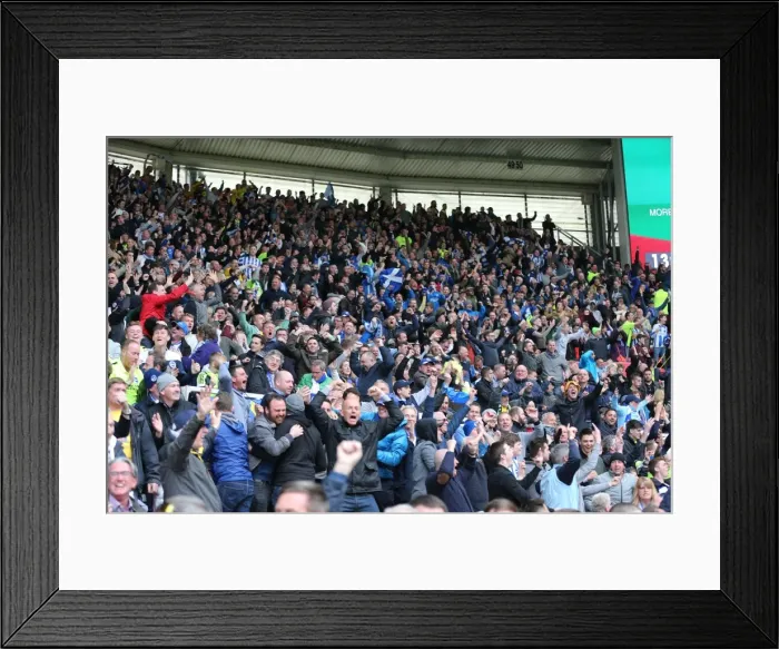 Framed Print : Championship Showdown: Middlesbrough vs. Brighton & Hove Albion at Riverside Stadium (07 / 05 / 2016) Framed Print : Championship Showdown: Middlesbrough vs. Brighton & Hove Albion at Riverside Stadium (07 / 05 / 2016)