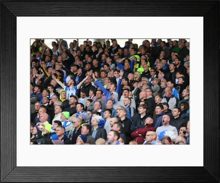 Framed Print : Championship Showdown: Middlesbrough vs. Brighton & Hove Albion at Riverside Stadium (07 / 05 / 2016) Framed Print : Championship Showdown: Middlesbrough vs. Brighton & Hove Albion at Riverside Stadium (07 / 05 / 2016)