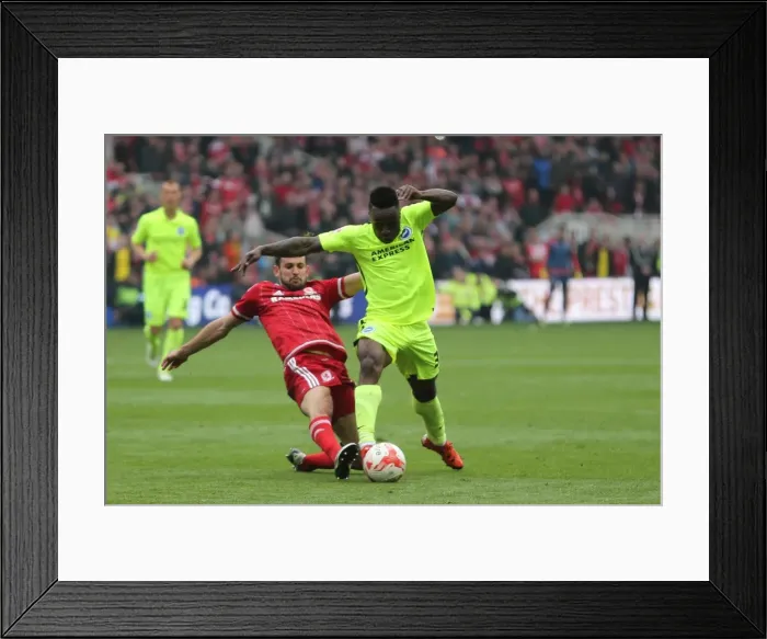 Framed Print : Championship Showdown: Middlesbrough vs. Brighton & Hove Albion at Riverside Stadium (07 / 05 / 2016) Framed Print : Championship Showdown: Middlesbrough vs. Brighton & Hove Albion at Riverside Stadium (07 / 05 / 2016)