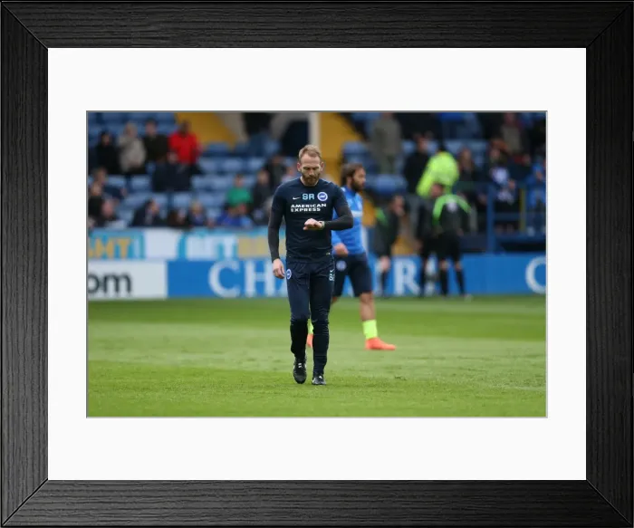 Framed Print : Brighton and Hove Albion vs. Sheffield Wednesday: Championship Play-Off Showdown (May 2016) Framed Print : Brighton and Hove Albion vs. Sheffield Wednesday: Championship Play-Off Showdown (May 2016)
