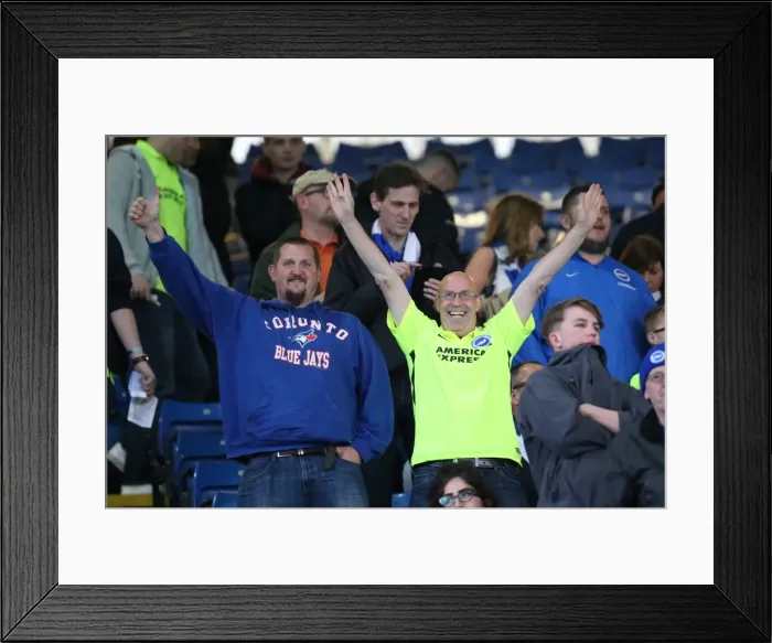 Framed Print : Brighton and Hove Albion's Thrilling Play-Off Debut: A Tight First Leg at Sheffield Wednesday's Hillsborough Framed Print : Brighton and Hove Albion's Thrilling Play-Off Debut: A Tight First Leg at Sheffield Wednesday's Hillsborough