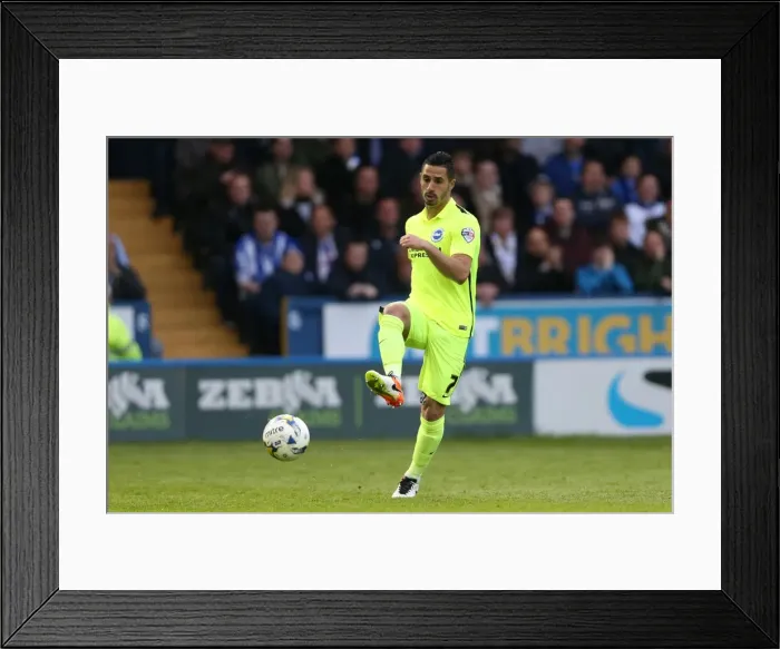 Framed Print : Brighton and Hove Albion vs. Sheffield Wednesday: Championship Play-Off Clash at Hillsborough (May 2016)