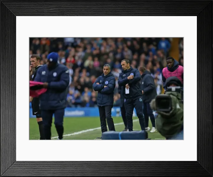 Framed Print : Brighton and Hove Albion's Play-Off Battle: Sheffield Wednesday vs. at Hillsborough (May 2016) Framed Print : Brighton and Hove Albion's Play-Off Battle: Sheffield Wednesday vs. at Hillsborough (May 2016)